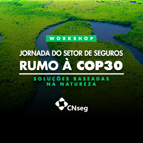 Workshop Jornada do Setor de Seguros Rumo à COP30: Soluções Baseadas na Natureza